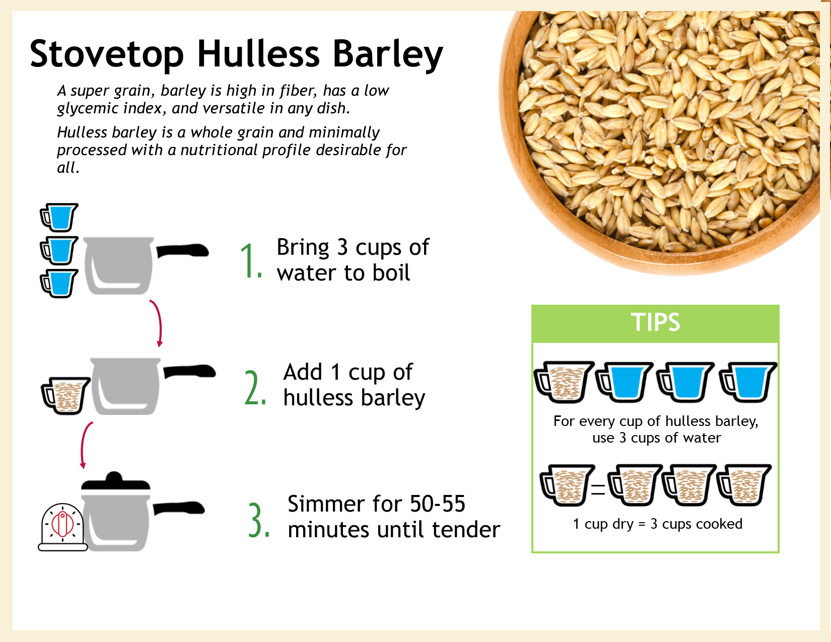 Barley Basics | Barley